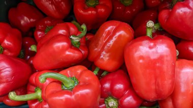 Kırmızı renkli bir demet kapsiyum görüntüsü