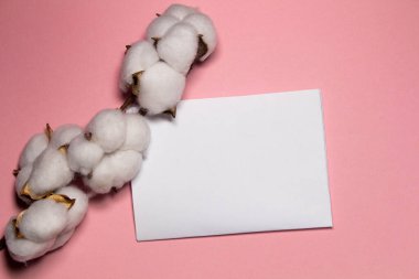 Pamuk dalıyla pembe arkaplan üzerine yazılmış metin için. Biçim.