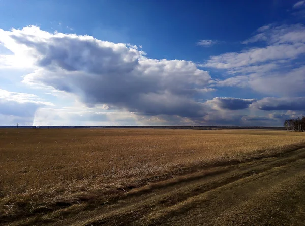 Offene Räume Der Natur Die Sonne Scheint Hell — Stockfoto