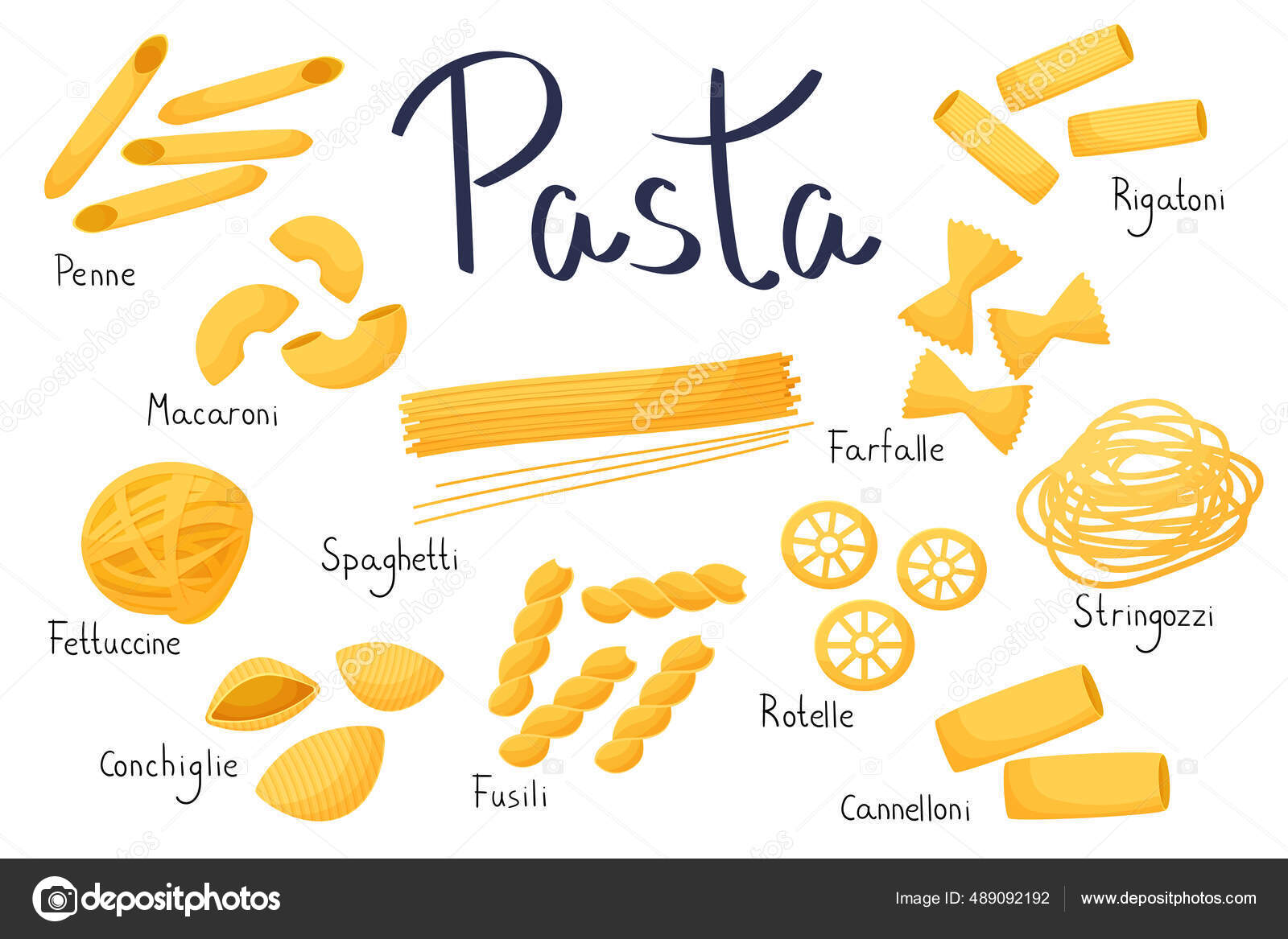 Different types macaroni and italian pasta Vector Image