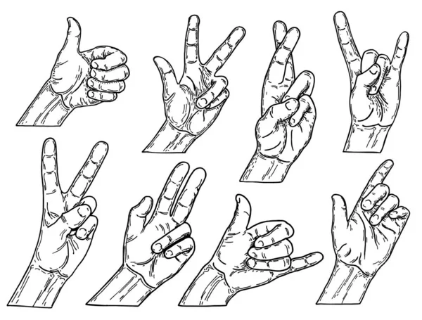 Vector set of hands and gestures, hands sketch, outline illustration — Vetor de Stock