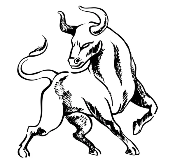 Bull ink sketch. Ox, bull, cow on white background. Chinese happy new year 2021. Lunar New Year. Drawing bull, ox, cowhide ink. Big ferocious bull sketch. — Stock Vector