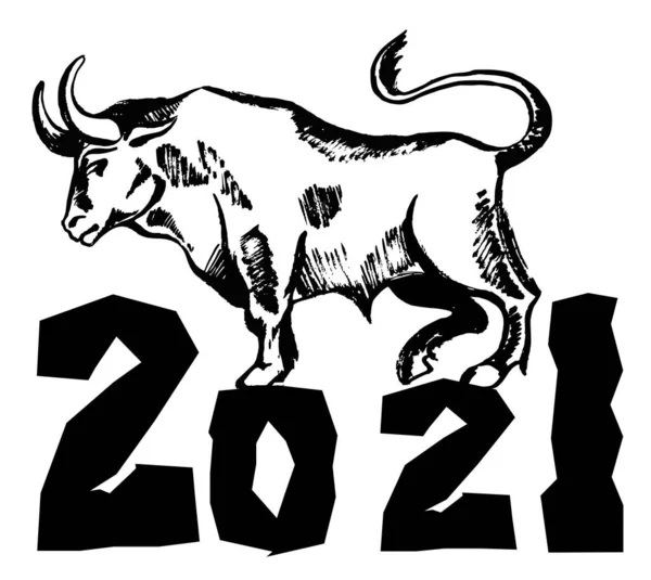 Esboço de tinta de touro. Boi, touro, vaca no fundo branco. Ano novo feliz chinês 2021. Ano Novo Lunar. A desenhar touro, boi, tinta de couro. Signo do zodíaco para cartões de felicitações, convite, cartazes, banners, calendário — Vetor de Stock