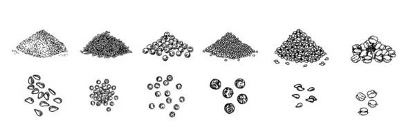 Kryddhögar skissar. Svartpeppar ärtor, sesamfrön, vallmofrön, kummin frön. Kryddor inställda. Naturlig krydda och matlagning ingrediens. vektor isolerad linje konst illustration på vit bakgrund — Stock vektor