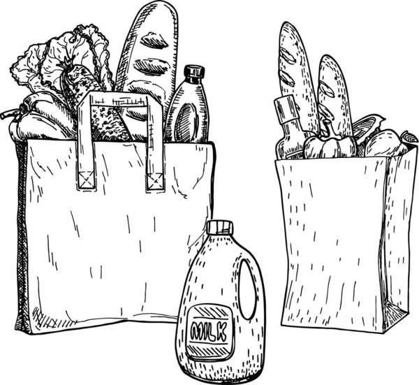 Termékek egy élelmiszertáskában és egy zöldséges zacskóban. Vázlat. Kézzel rajzolt vektor illusztráció — Stock Vector