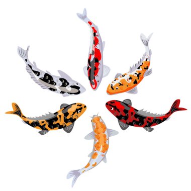 Koi sazan seti, Japon balığı. Koreli hayvanlar. Etiket olarak el yazısıyla çizilmiş Vintage dövmeli monokrom çizimi. Japon koi balığı vektör illüstrasyonu.