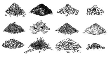 Baharat yığını. Karabiber, susam, haşhaş tohumu, karanfil tohumu, safran, marjoram, kimyon, kakule. Baharatlar hazır. Doğal baharat ve yemek malzemesi. Beyaz arkaplanda vektör çizimi