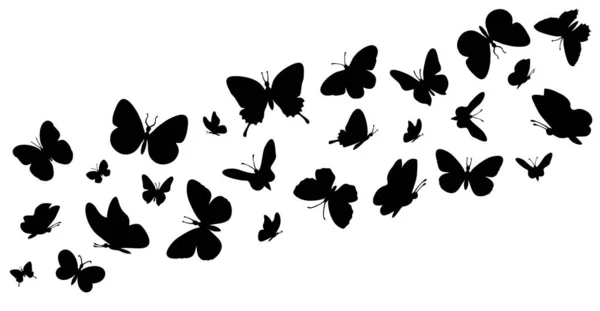 Fliegende Schmetterlinge Silhouetten. Schmetterlinge im Flug. Schmetterlingsnahtloser Rand. Vektorillustration für Schwarzwald und Garteninsekten. Dekorative Elemente auf Weiß für die Gestaltung. — Stockvektor