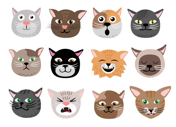 Les chats mignons font face aux émotions. Personnages drôles de chats drôles visages, animaux ensemble d'émotion, heureux et en colère, têtes d'humeur triste et hautaine. Illustration vectorielle isolée. — Image vectorielle