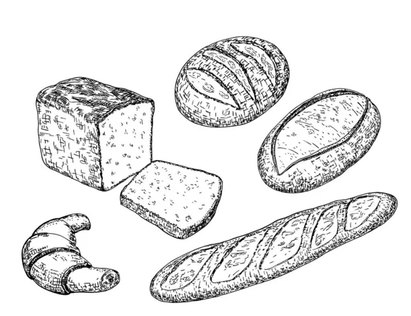 Chlebové náčrty s dlouhými bochníky, bagetou, pšeničným a žitným chlebem, croissant. Pekařské a cukrářské výrobky v retro rytém stylu pro design potravin. Skica vektorové ilustrace — Stockový vektor