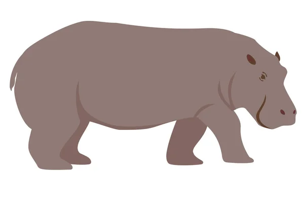Farbige Illustration eines Nilpferdes. Karikatur eines Flusspferdes. Isoliertes Vektorobjekt auf weißem Hintergrund. Lustige Tierfigur — Stockvektor