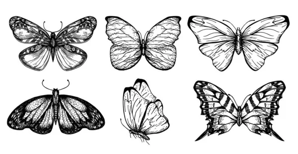 Sammlung von Schmetterlingszeichnungen für Ihren Entwurf. Handgezeichnete Skizze von Insekten. Monochromes Bild von Schmetterlingen. Vektorskizze. — Stockvektor