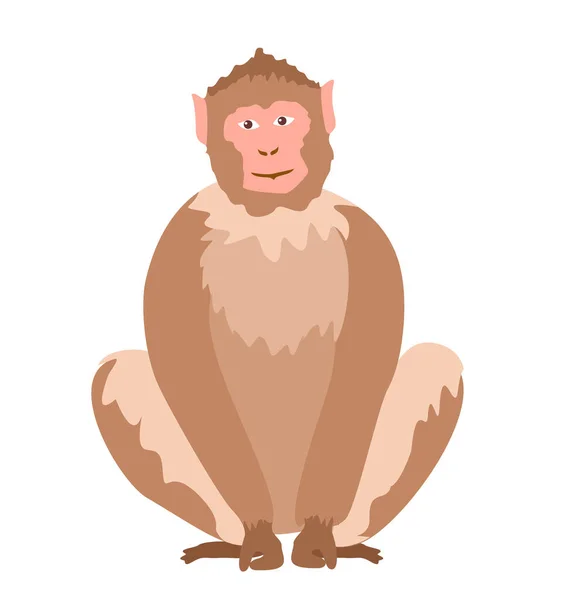 Macaque. Scimmia africana isolata su sfondo bianco. Animali esotici della giungla. Illustrazione vettoriale piatta colorata — Vettoriale Stock