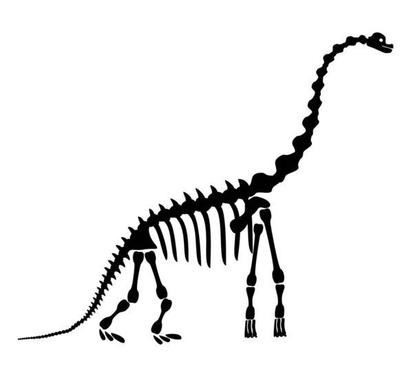 Diplodocus skelet. Oude prehistorische dieren dinosaurus. Groot dier uit het prehistorische Mesozoïcum. Illustratie, tekening, gravure, inkt, lijnkunst. Vector illustratie in cartoon stijl. — Stockvector