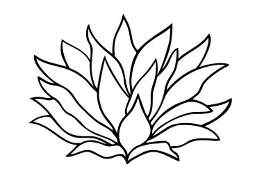 Lotus çiçekleri. Vektör çizimi. Tropik çiçek doğrusal çizimi. Siyah-beyaz vektör görüntüsü. Boyama kitapları için şablon. Botanik illüstrasyon.