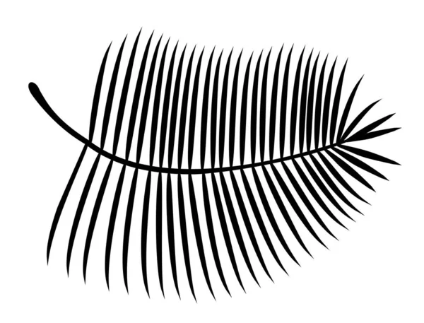 Silueta palmového listu. Vektorová ilustrace Tečkovaný pulzující tučný prvek přírodního polotónu palmového listu — Stockový vektor