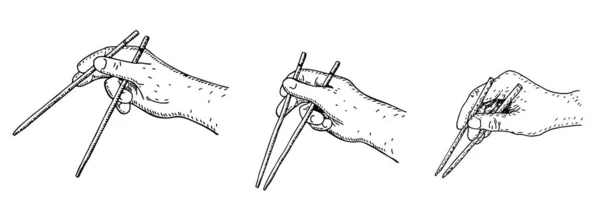 Como usar pauzinhos, guia de ilustração vetorial simples. Conjunto de mão segurando pauzinhos. Desenho Ilustração vetorial. — Vetor de Stock