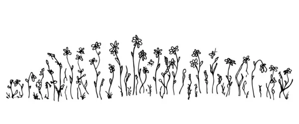 Handgezeichnete einfache Vektorzeichnung in schwarzer Umrandung. Wilde Wiesengräser, Wildblumen, Stacheln, Blütenstände. Weideland mit Gras und Blumen. Rasen, Kräuterpflanzen, langes Banner. — Stockvektor
