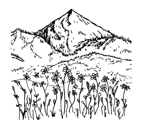 Paisagem vetorial desenhada à mão com montanhas, árvores e flores no vale da montanha. Montanha pico ícone logotipo design minimalista. — Vetor de Stock