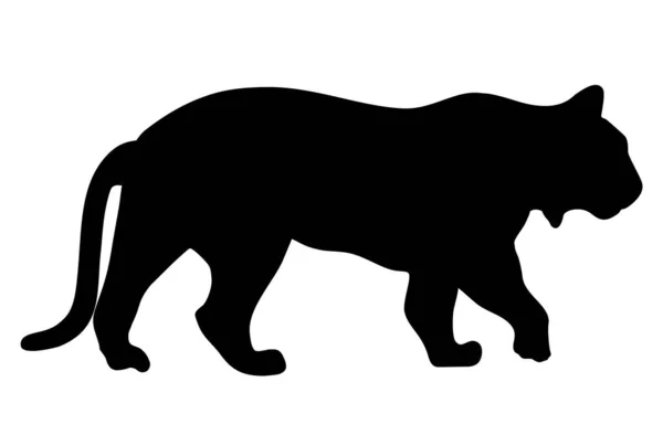 Illustration de silhouette vectorielle tigrée isolée sur fond blanc. Vue latérale de la silhouette du Tigre marchant. Gros chat sauvage. Signe de tatouage. — Image vectorielle