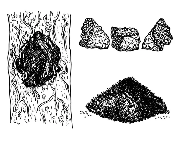 차가 버섯 Inonotus oblius set. 약재 공장. 천연 차가 버섯 조각들은 흰색 배경에 분리되어 있습니다. 잘 게썬 차가 버섯 한 무더기를 가까이 서 구경하고 있다. — 스톡 벡터