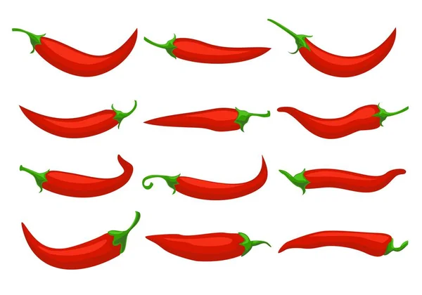 Scharfe rote Chilischoten. Großaufnahme Chili, mexikanische Chili- oder Chilis-Illustration, Vektoren Paprika-Symbole isoliert auf weißem Hintergrund. Paprika-Symbole — Stockvektor