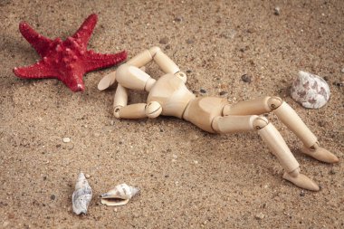 Sahilde deniz kabukları ve deniz yıldızlarının arasında yatan tahta bir manken.
