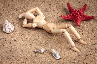 Sahilde deniz kabukları ve deniz yıldızlarının arasında yatan tahta bir manken.