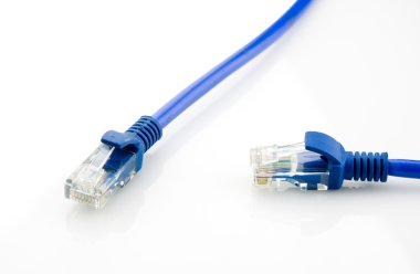 Mavi ağ kablosu