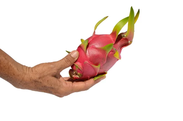 Fruta dragão na mão — Fotografia de Stock