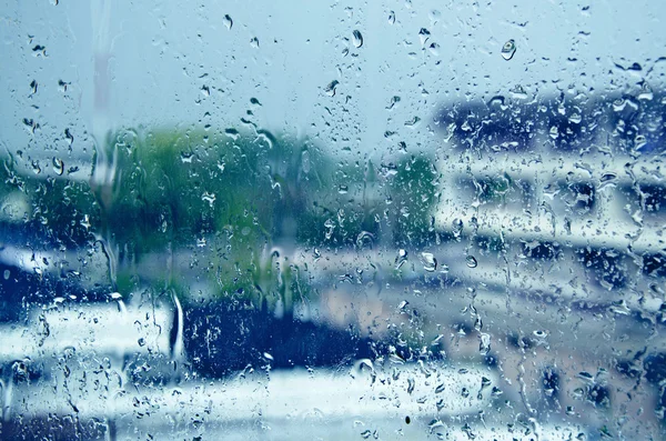 Yağmur sezonu — Stok fotoğraf