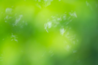 arka plan doku yaprakları