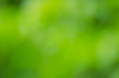 arka plan doku yaprakları