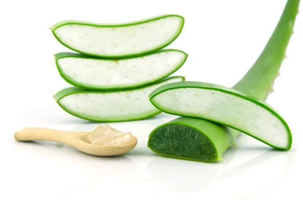 Aloe vera taze yaprak dilimlenmiş