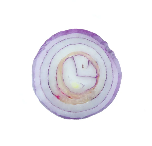 Onion slice and center of rotten onions on isolated — Zdjęcie stockowe