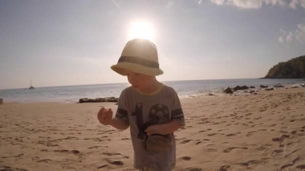 Mały chłopiec zbieranie muszli z piasku — Wideo stockowe
