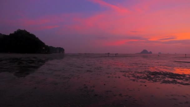 Plaża o zachodzie słońca po odpływu — Wideo stockowe