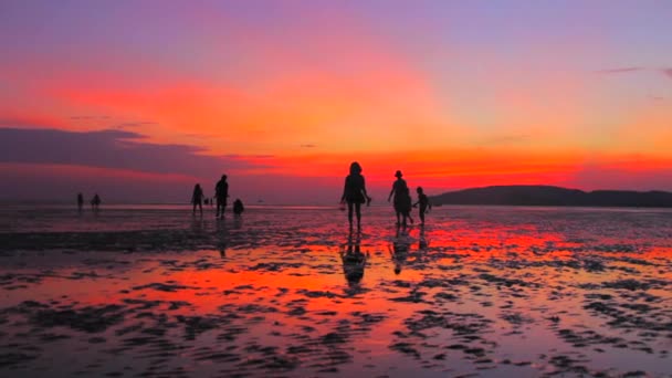 Personnes marchant sur la plage humide — Video