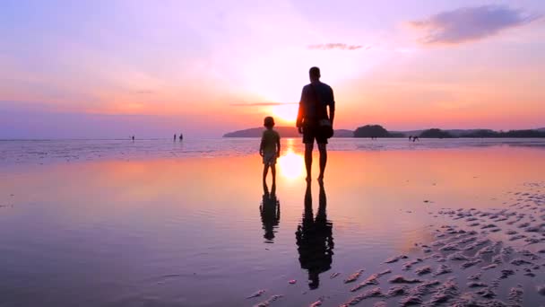Отец с сыном на пляже — стоковое видео