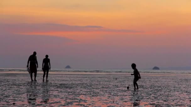 Homme avec femme et leur fils sur la plage — Video