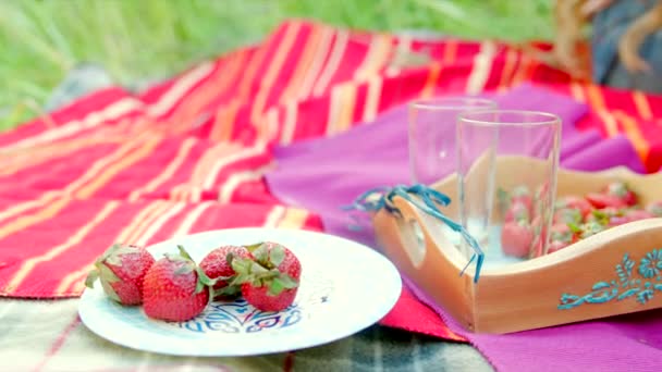 Summer picnic with straberry and milk — Stock Video