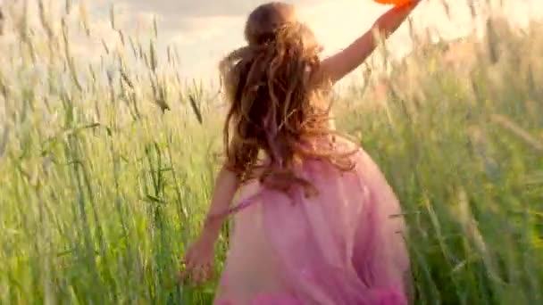 Young girl running through a wheat field with colour balloons during sunset