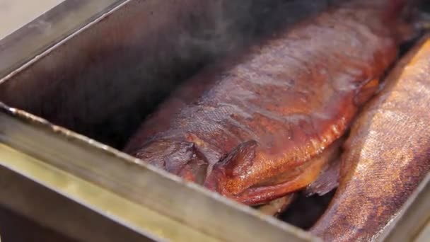 Pescado delicioso secado al humo — Vídeos de Stock