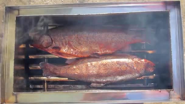 Zwei geräucherte köstliche Fische — Stockvideo