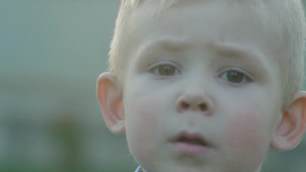 Son and Mother Kiss Defocused — Stock Video