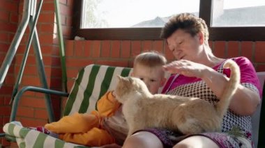 Çocuk ve bir kedi sevişme büyükanne