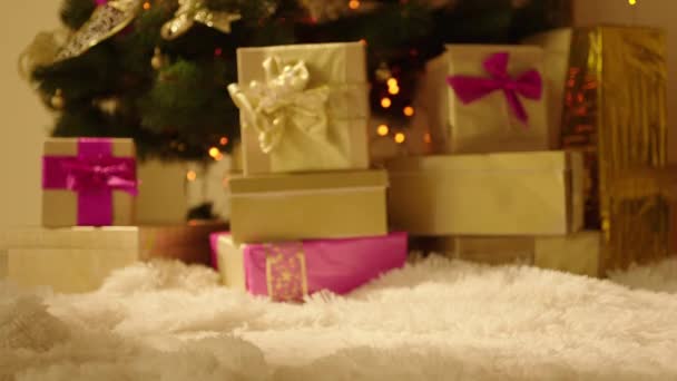 Παρόν κουτί μπροστά από το χριστουγεννιάτικο δέντρο — Αρχείο Βίντεο
