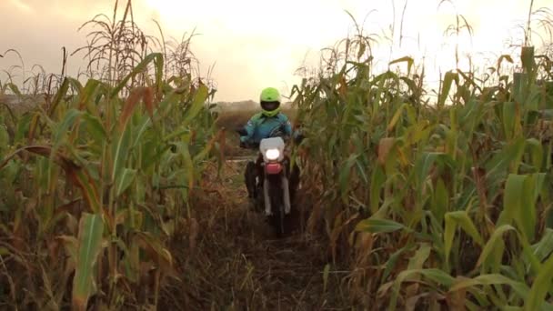 Female Biker Riding Through the Field — Stock Video