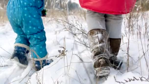 Женщина и ее ребенок ходят в снегу — стоковое видео