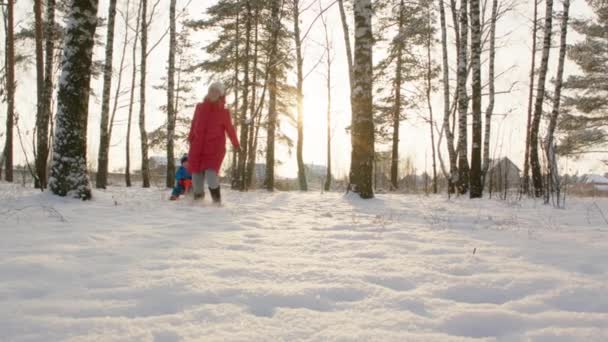 运行和拉雪橇和小男孩的女人 — 图库视频影像